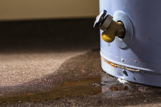 Best Residential water damage restoration  in Calvert City, KY