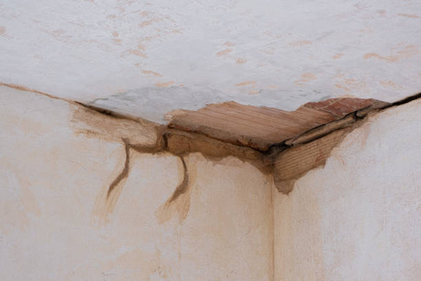 Best Water damage restoration near me  in Calvert City, KY