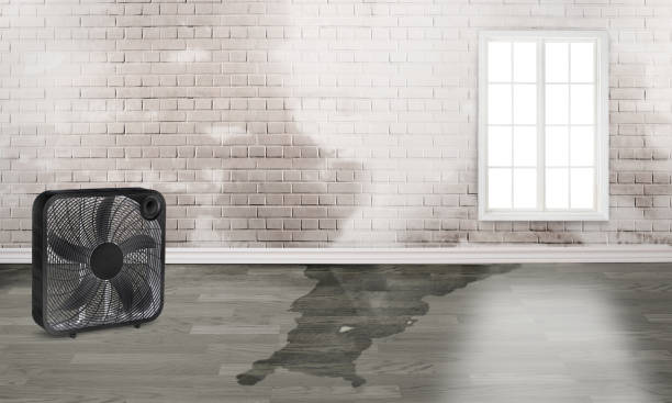 Water damage restoration mold remediation in Calvert City, KY