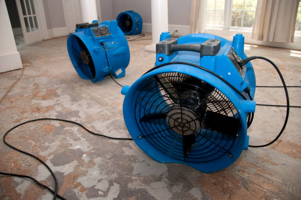 Trusted Calvert City, KY Water damage restoration Experts