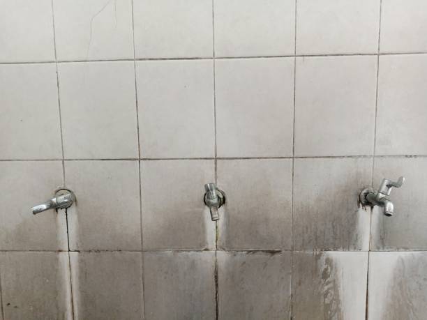 Best 24-hour water damage restoration  in Calvert City, KY