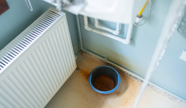Best Ceiling water damage repair  in Calvert City, KY