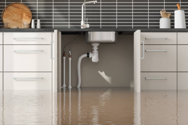 Best Mold removal after water damage  in Calvert City, KY